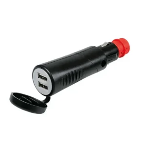 Ekspresowa dostawa Ładowarka Lampa 2 porty USB [2500mA; 12/24 V]